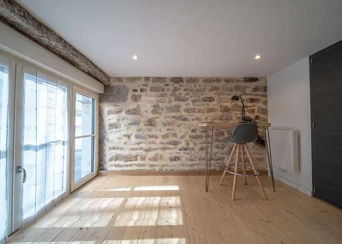 Spacious Renovated Loft - University - Guillotiere